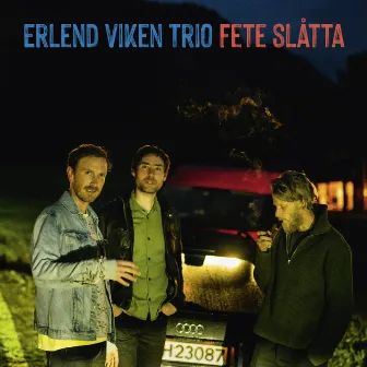 Fete slåtta by Erlend Viken Trio