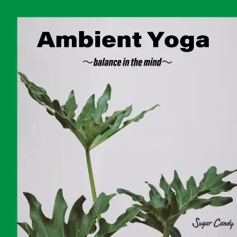 Ambient Yoga 〜Balance in the Mind〜 by Sugar Candy