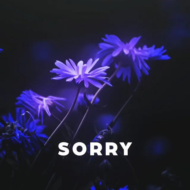 Sorry