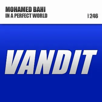 In a Perfect World by Mohamed Bahi