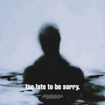 too late to be sorry. by CXSMPX