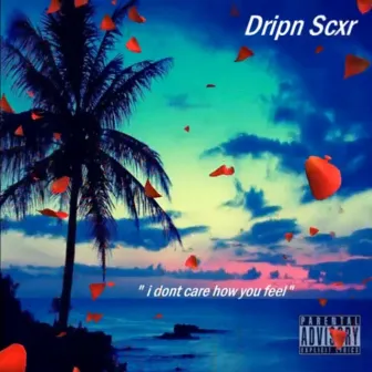 I Don't Care How You Feel by Dripn Scxr