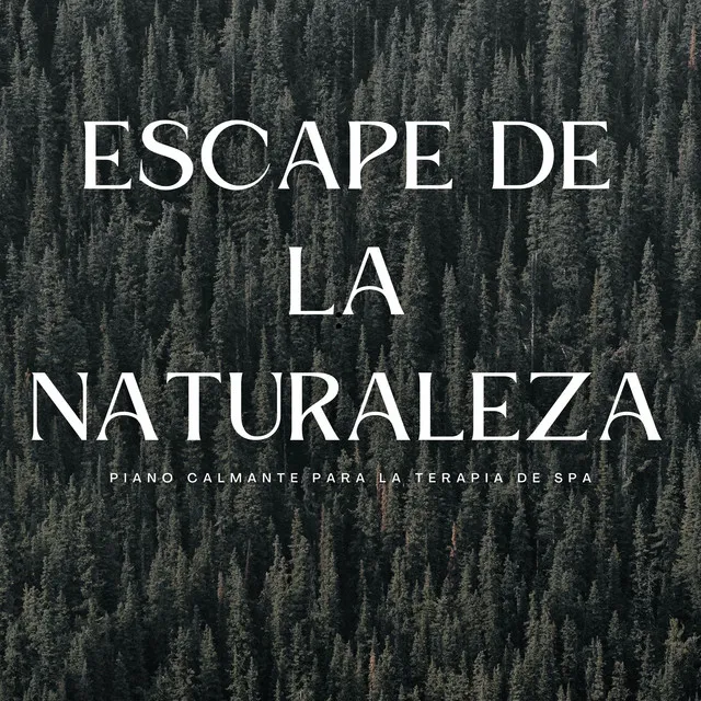 Escape De La Naturaleza: Piano Calmante Para La Terapia De Spa