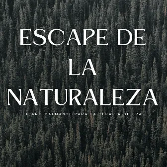 Escape De La Naturaleza: Piano Calmante Para La Terapia De Spa by Spa de música de piano