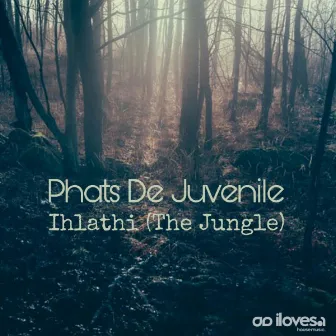 Ihlathi (The Jungle) by Phats De Juvenile