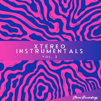 Xtereo Instrumentals Vol. 2 by Dr. Berk