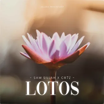 Lotos by Sam Sillah