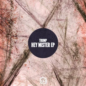 Hey Mister Ep by Trump