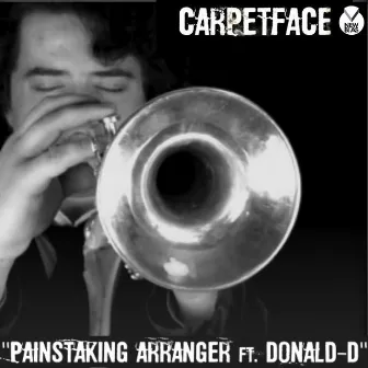 Painstaking Arranger by Carpetface