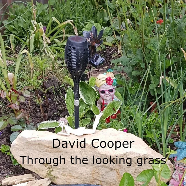 David Cooper