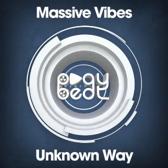 Unknown Way by Massive Vibes