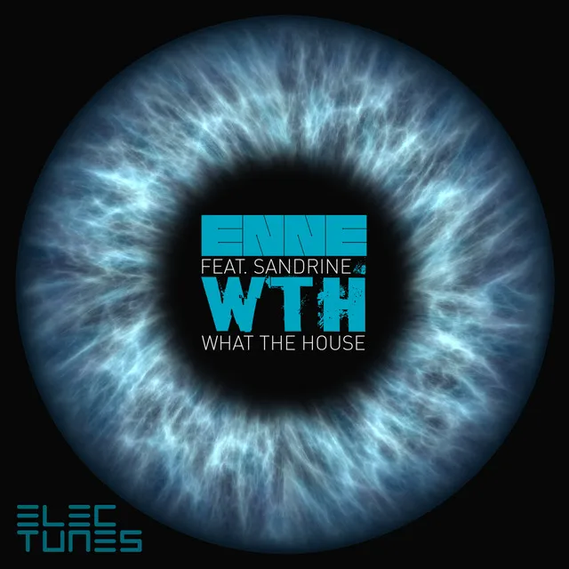 W.T.H. (What the House) - Dubmix