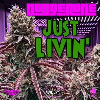 Just livin' by Unknown Artist