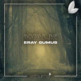 Walk by Eray Gumus