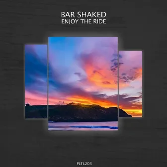 Enjoy the Ride by Bar Shaked