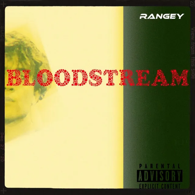 BLOODSTREAM