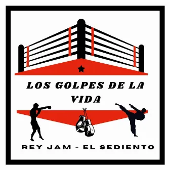 Los Golpes De La Vida by Rey Jam