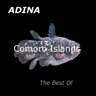 Comoro islands (The best of) by Adina