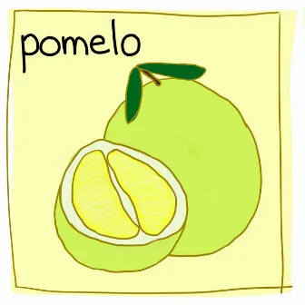 Pomelo by Sofia Lim