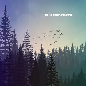 Relaxing Forest by Nature Sound Sleep