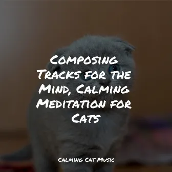 Composing Tracks for the Mind, Calming Meditation for Cats by Relaxmycat