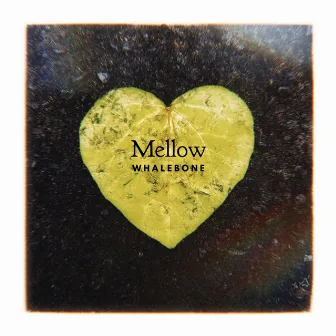 Mellow by Whalebone