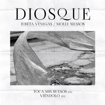 Toca Mis Huesos - Single by Diosque