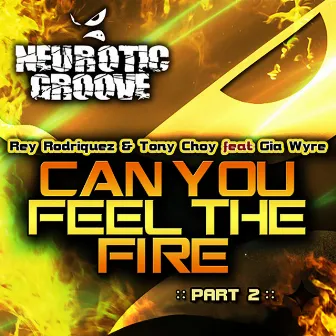 Can You Feel the Fire - Remixes by Tony Choy