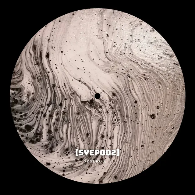 Spacetimes - SYEP002