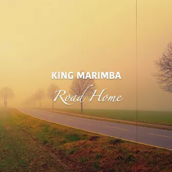 Road Home by King Marimba