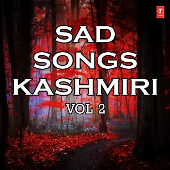 Sad Songs - Kashmiri Vol-2 by Shazia Basheer