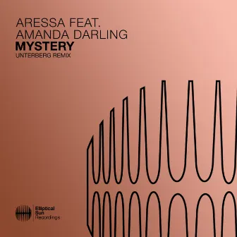 Mystery by Amanda Darling