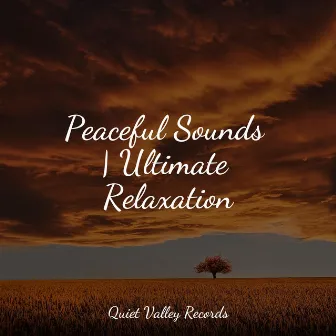 Peaceful Sounds | Ultimate Relaxation by Lullaby Rain