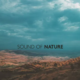 Sound Of Nature by Infinity Sky