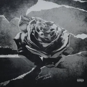 Concrete Rose by GBABY A MILLION