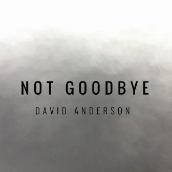 Not Goodbye by David Anderson