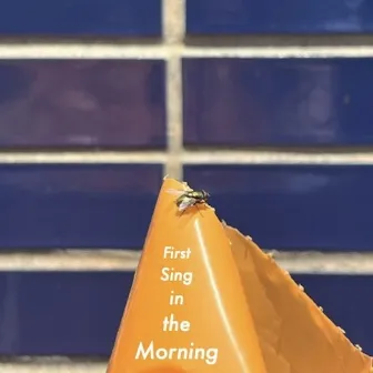 First Sing in the Morning by Nick Joz