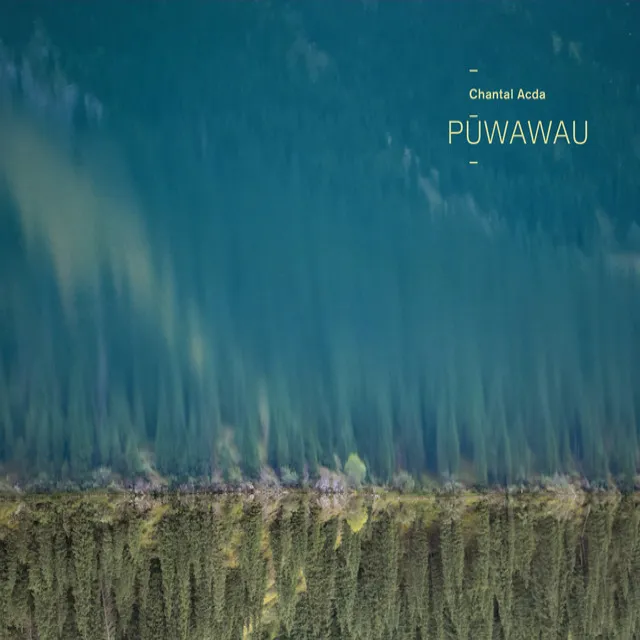 Pūwawau