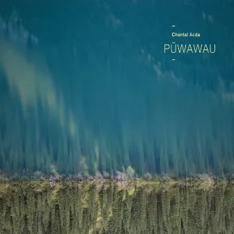 Pūwawau by Chantal Acda