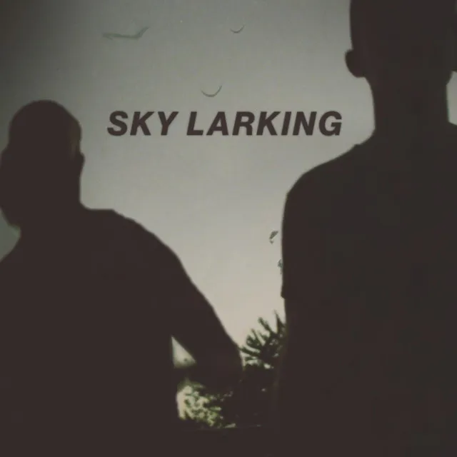 Sky Larking