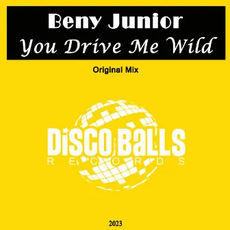 You Drive Me Wild by Beny Junior