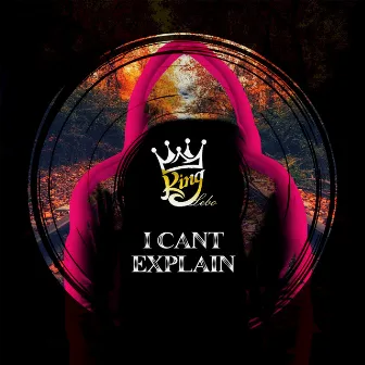 I Cant Explain by King Lebo