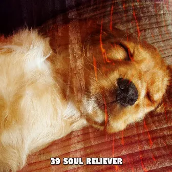 39 Soul Reliever by relaxdaily