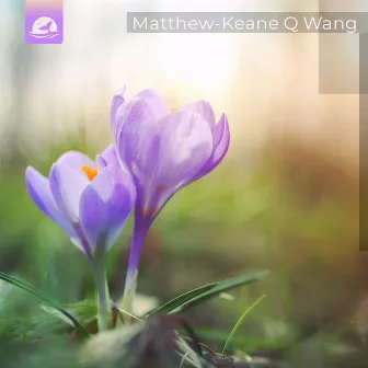 Gentle Promises by Matthew-Keane Q Wang