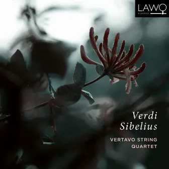 Verdi - Sibelius by Vertavo String Quartet