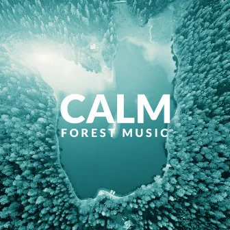 Calm Forest Music: Relaxation, Stress Relief, Nature Sounds, Chill Music, Rest, Piano Melodies by Forest Hills Music Universe