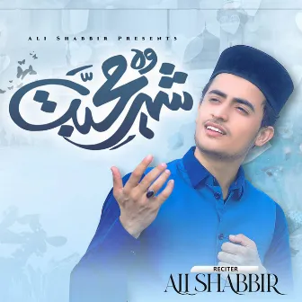 Wo Shehr E Mohabbat by Ali Shabbir