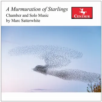 M. Satterwhite: A Murmuration of Starlings by Marc Satterwhite