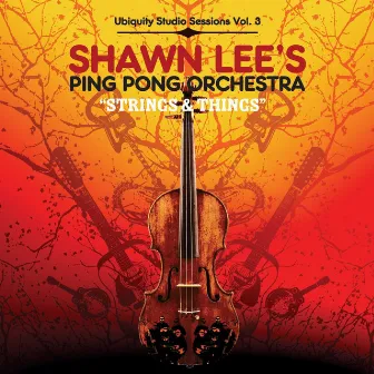 Strings and Things by Shawn Lee's Ping Pong Orchestra