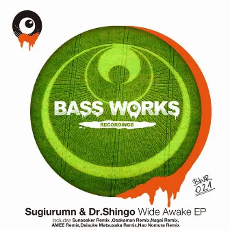 Wide Awake EP by Dr.Shingo